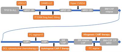 Sequential autologous CAR-T and allogeneic CAR-T therapy successfully treats central nervous system involvement relapsed/refractory ALL: a case report and literature review